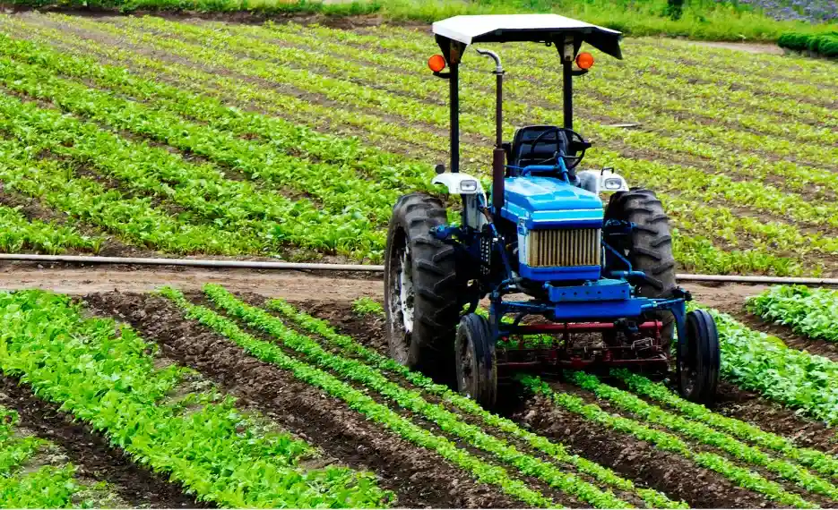 Agricultural Solar Plan